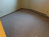 free carpet with underlay