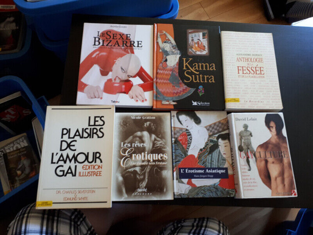 livres  , roman  sexualité - orientation dans Autre  à Longueuil/Rive Sud - Image 4