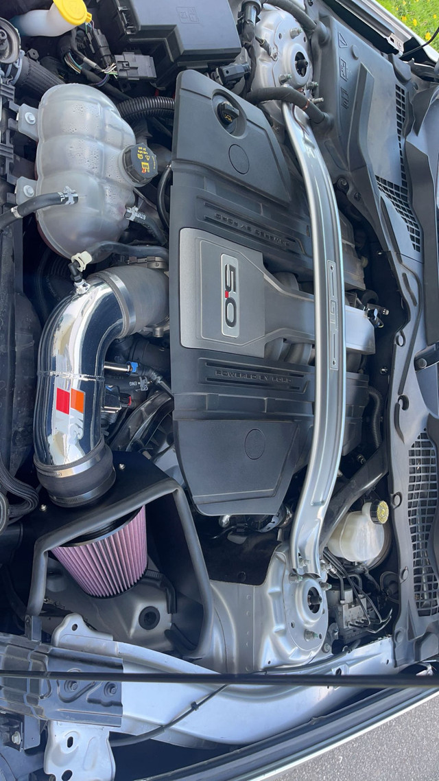 2019 mustang gt pp2 in Cars & Trucks in Barrie - Image 2