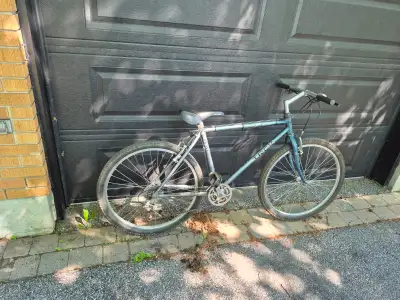 Trek Mountain Track bicycle (19" frame, View more