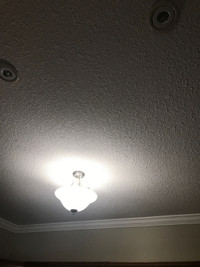 Ceiling light, toilet paper roll
