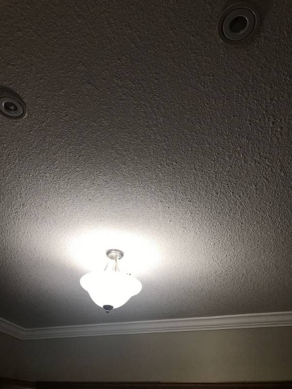 Ceiling light, toilet paper roll in Indoor Lighting & Fans in Cambridge