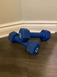 10 lb dumbbells