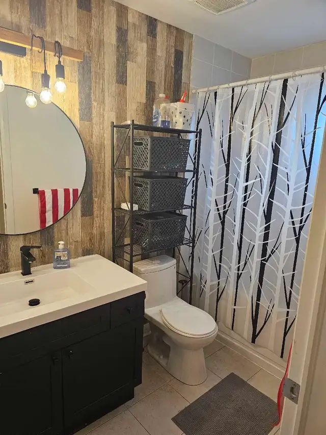 LARGE FURNSHED ROOM BY YORK UNIVERSITY FEB 1ST