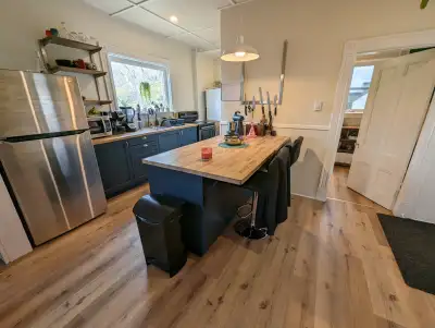 Beautiful open Concept Apartment Walking distance to DT