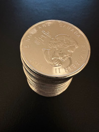 (14) 1 oz. Maple Leaf Coins 