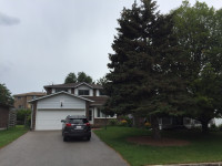 House For Rent in  Newmarket