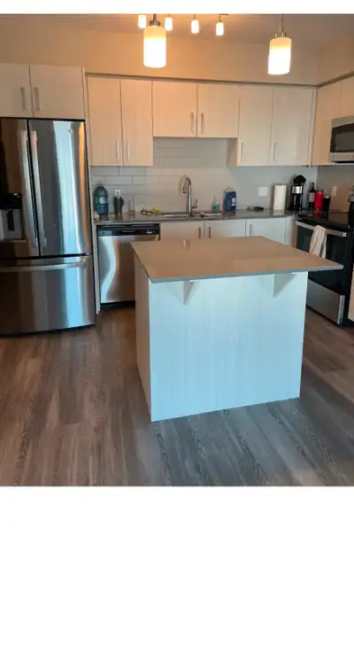 Apartment for rent in down town London