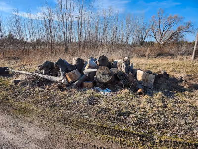 Few truck loads of seasoned wood