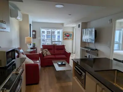 Très beau condo locatif avec plusieurs services et espaces communs. Voir : lefitz.ca Magnifique 3 1/...