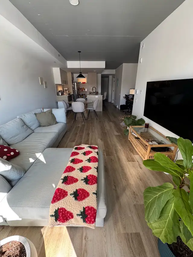 URGENT : Grand appartement 3 1/2 à louer, Vanier, Québec