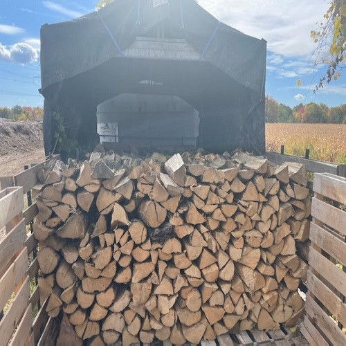 Best Price - Firewood for sale - $140 in Fireplace & Firewood in Hamilton