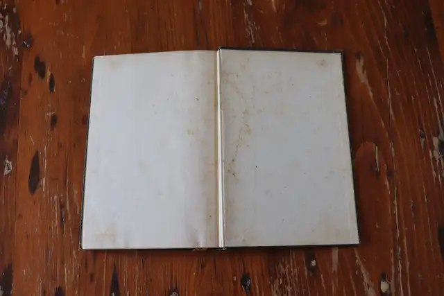 An Irish Saint. Life Story of Ann Preston - 1908 in Non-fiction in London - Image 8