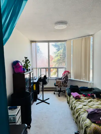 Accomodation available for female from June
