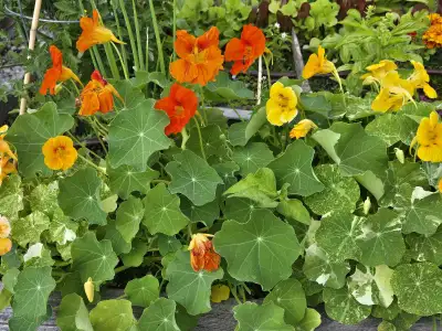 In despair, life got you down?, View more