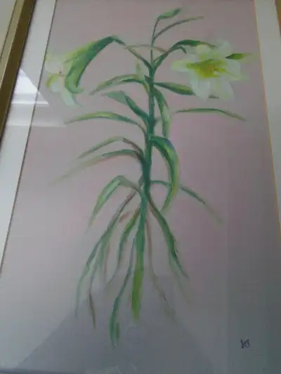 Framed Painting of Lily 12 x 16.5  by artist  - J.T., View more