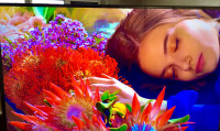 TV Samsung 43 inch 4K UHD HDR Smart TV- Brand New Tv