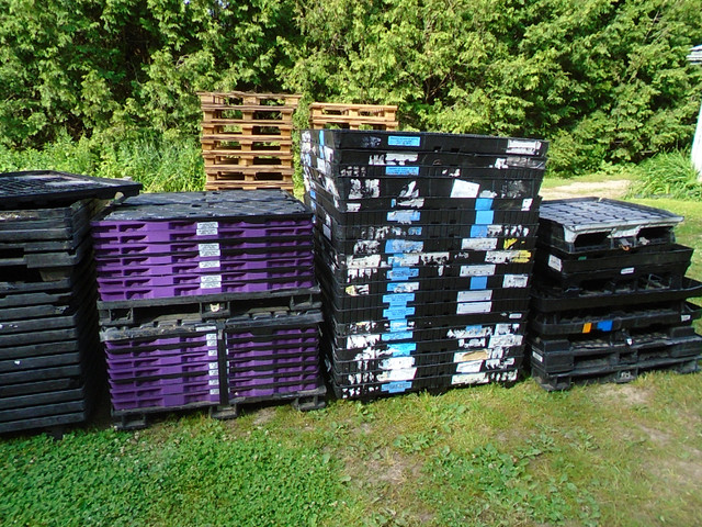 Plastic Pallets in Other Business & Industrial in Guelph - Image 2