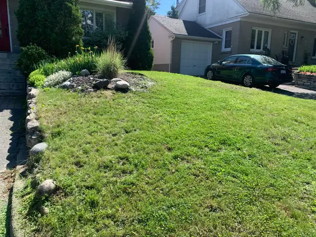Reliable Local Yard Work489071910102640644
