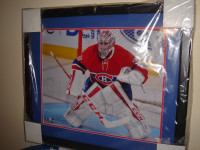 Carey Price Autographed Framed 16" x 20" Photo ($500 Value) NEW