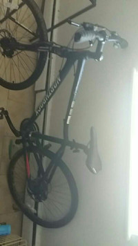  bike (adult)