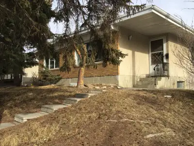 A good-sized bedroom on the lower level of a duplex house is available on April 1. A University stud...