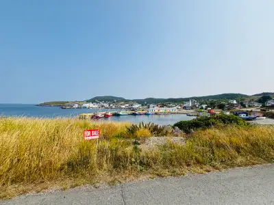✨ Your Oceanfront Escape Awaits – Winterton, NL – $35,000 Wake up to the sound of waves and end your...
