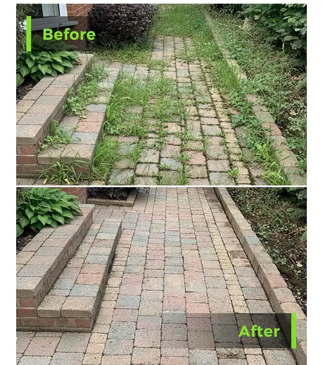 Leaf Raking, Weed removal,  Tree Cut,Mulch, & Tree cut services in Lawn, Tree Maintenance & Eavestrough in City of Toronto - Image 5