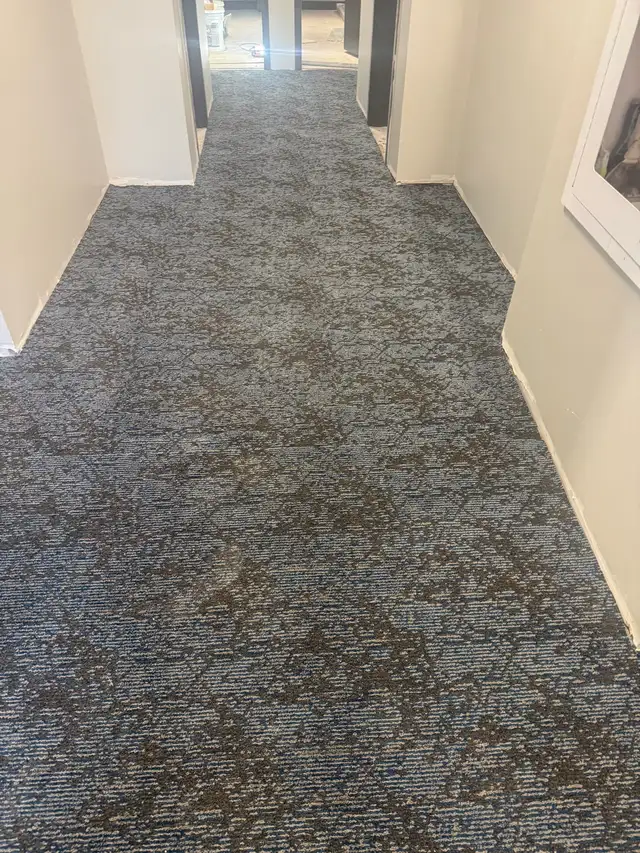 carpet installation 580577036537047048