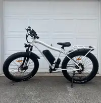 E-bike (Electronic Mountain Bike)