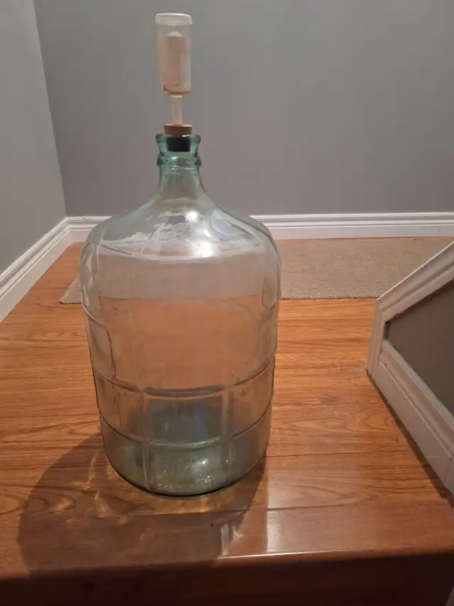 20L CARBOYS/DEMIJOHNS WITH AIR LOCKS $10 EA.