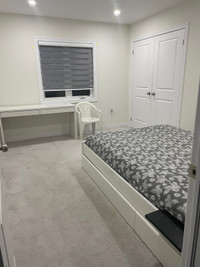 FURNISHED ROOM FOR RENT IN BRAMPTON