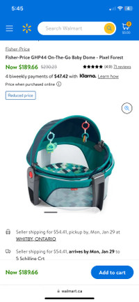 Fisher Price on the go baby dome 