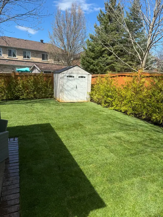 SOD INSTALL - Fall Special63749413666691124