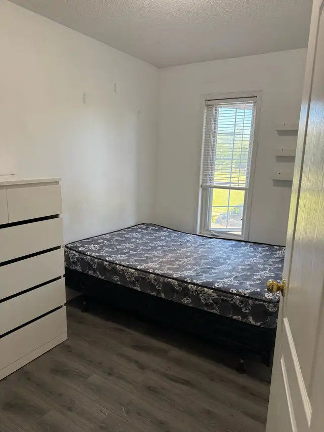 1 room available! York University-village green in Room Rentals & Roommates in City of Toronto - Image 6