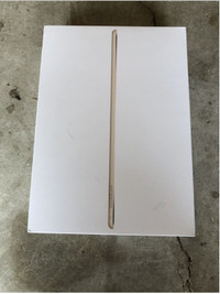 Apple ipad Air 2 16 GB Box ONLY