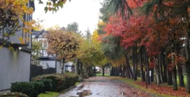 Room for rent in Room Rentals & Roommates in Richmond - Image 9