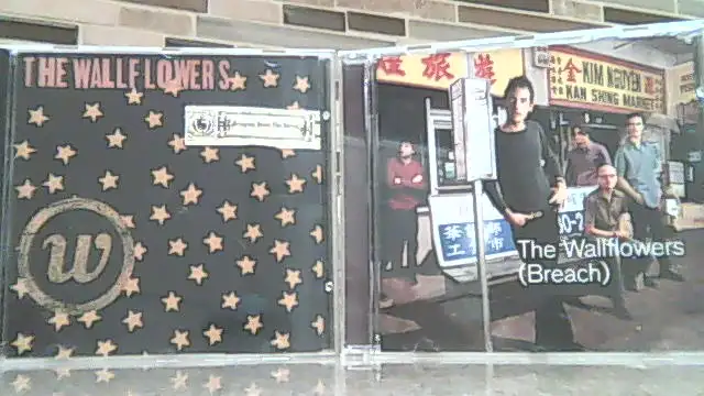 THE WALLFLOWERS - CDs