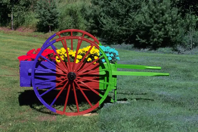 Learn PHOTOSHOP64352293620866124