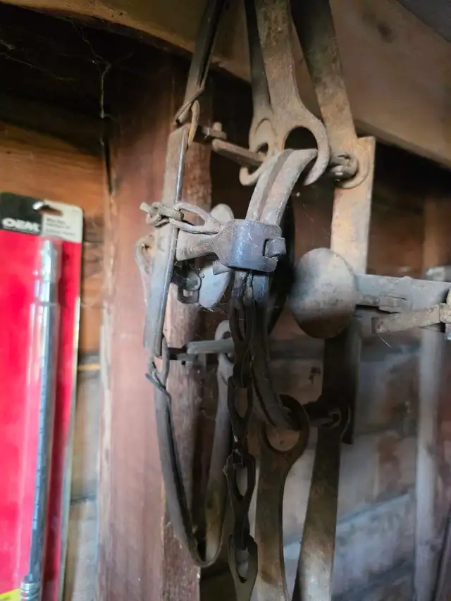 old traps 600954223796561923
