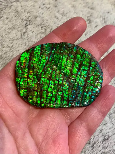 Ammolite fossil gemstone prices range from $45-$60. Please see my other ads for more ammolite of dif...