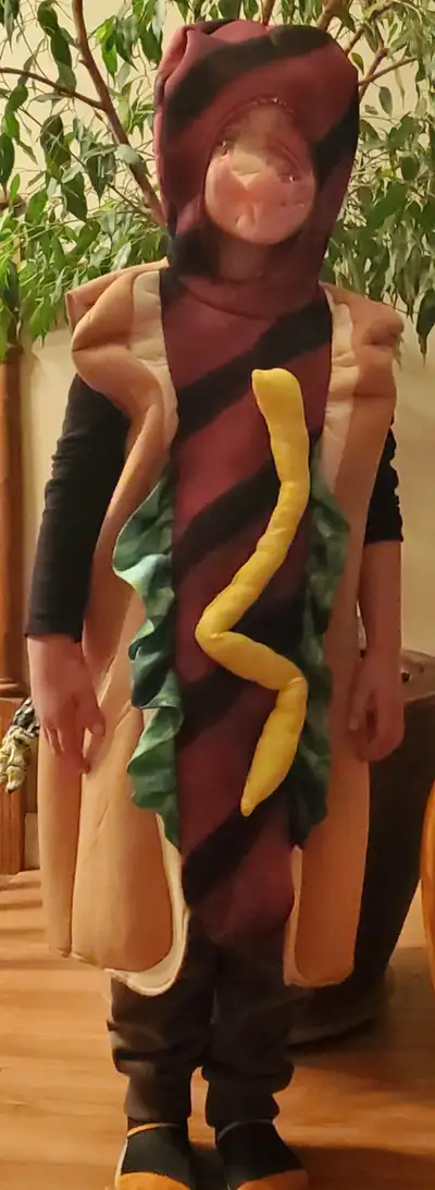 Hot Dog Costume, View more