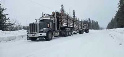 2019 peterbilt 367 tri drive logging truck 14,600 hrs 700,000 kms 3000 hrs on new long block crate m...