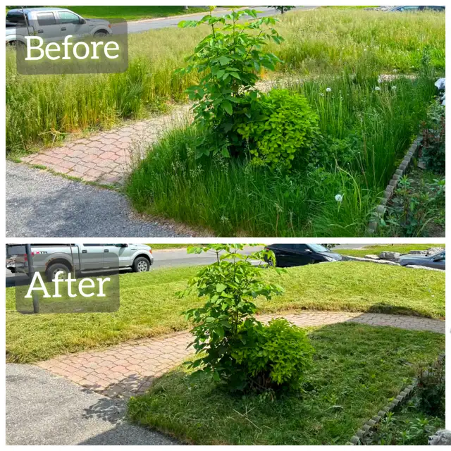 Grass cutting475476259222343683