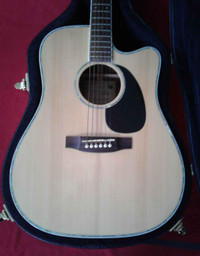 Takamine Acoustic Electric Guitar & Hard Case