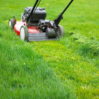 Lawn Mowing Services in St. James