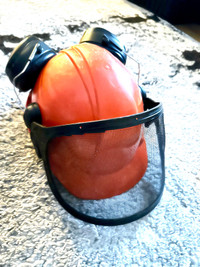 forestry safety helmet