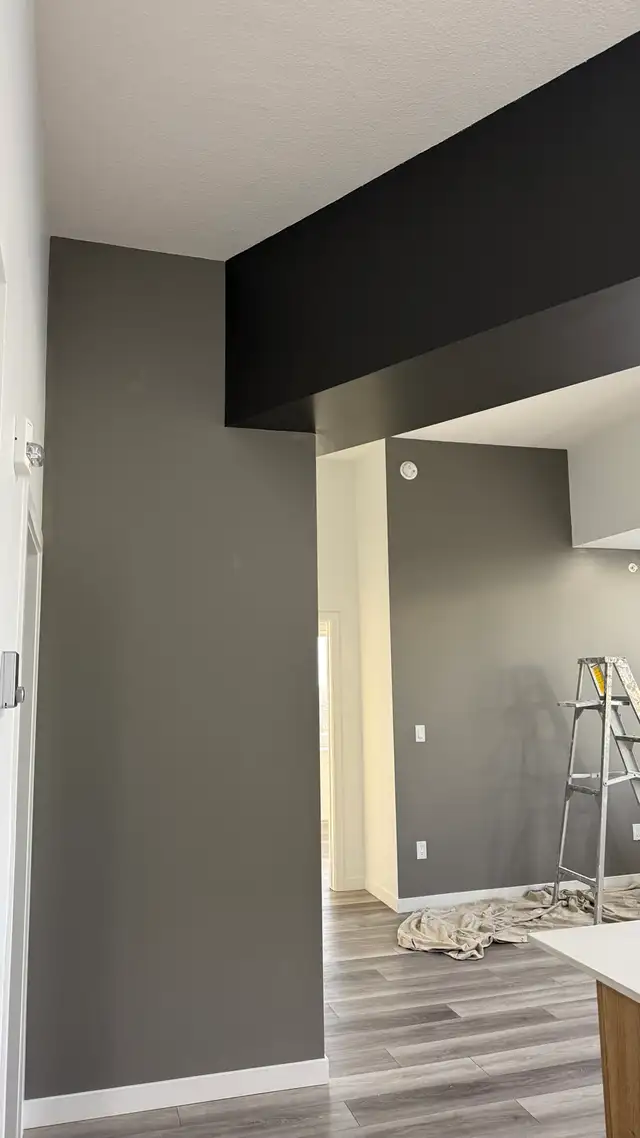 clean/reliable painter $99sale557469203400632328