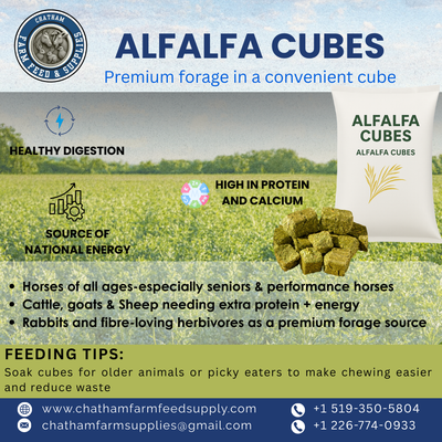 Alfalfa Cubes – Just $40!, View more