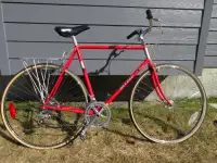 1984 Miyata “710” 12 Speed Road Bike - 1 Owner!!! Total Refurb